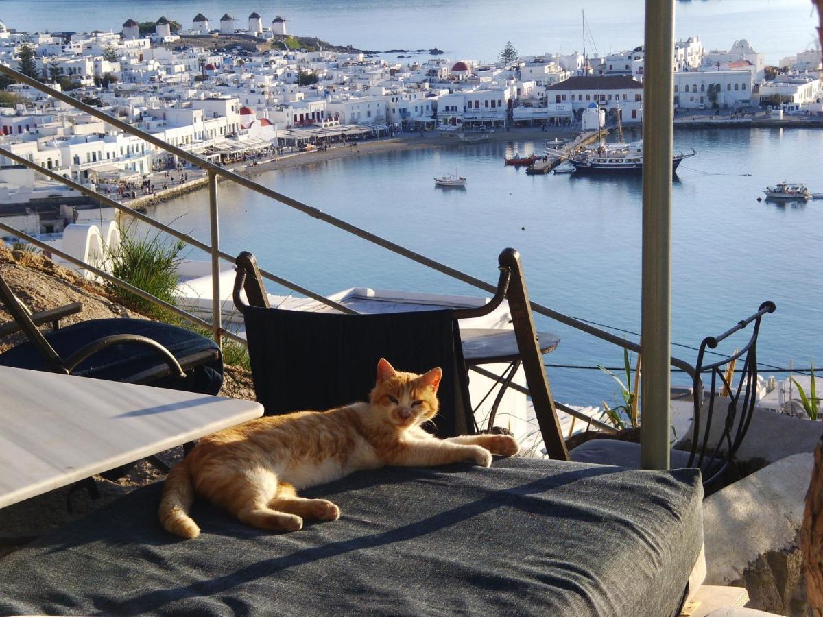 Anemones Sea View Apartment Mykonos Town Екстериор снимка